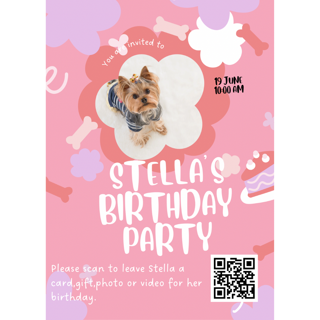 pet-box-any-occasion-package pet-box-any-occasion-package